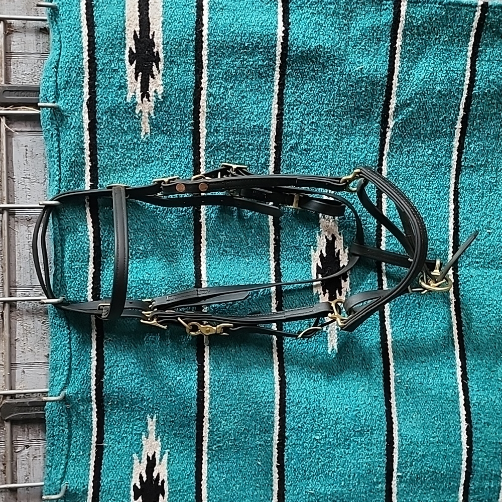 HORSE Bridle Halter Combo